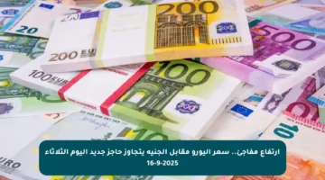 ارتفاع مفاجئ.. سعر اليورو مقابل الجنيه يتجاوز حاجز جديد اليوم الثلاثاء 16-9-2025